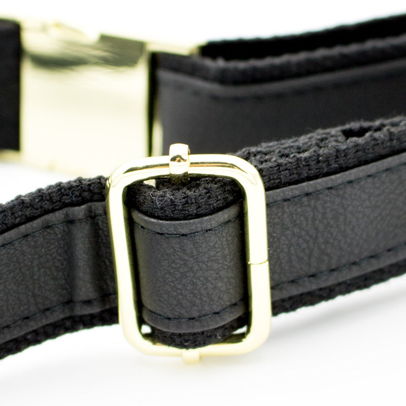 Belt Bag - University of Arkansas, Fayetteville