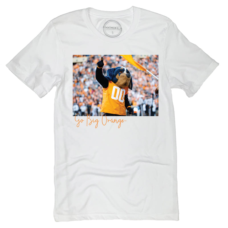 Stadium Tee- University of Tennessee