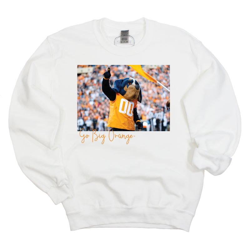 Stadium Crew- University of Tennessee