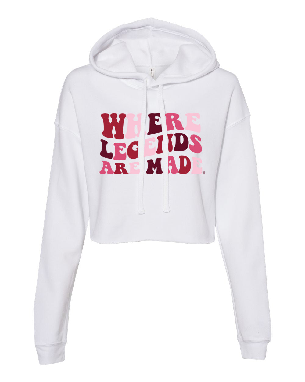 Groovy Crop Hoodie- University of Alabama